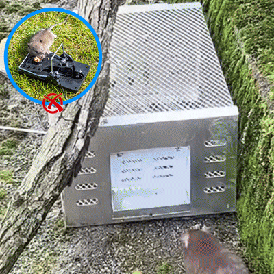 STX Industrial-Grade Steel Trap