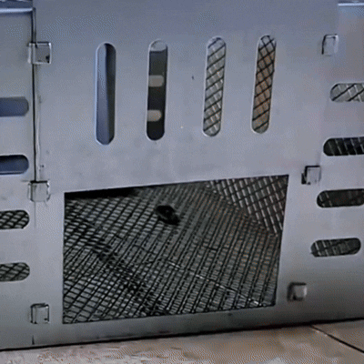 STX Industrial-Grade Steel Trap